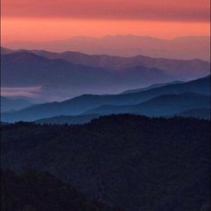 Meet your Posher, Alexa